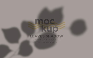 Leaves Shadow Overlay Effect Mockup 322