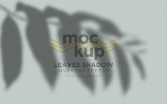 Leaves Shadow Overlay Effect Mockup 323