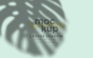 Leaves Shadow Overlay Effect Mockup 325