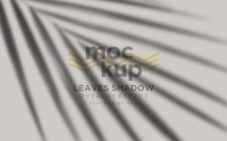 Leaves Shadow Overlay Effect Mockup 327