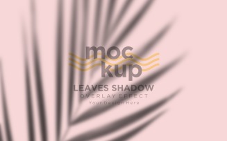 Leaves Shadow Overlay Effect Mockup 328