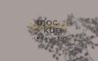 Leaves Shadow Overlay Effect Mockup 332