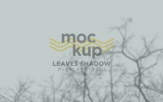 Leaves Shadow Overlay Effect Mockup 333