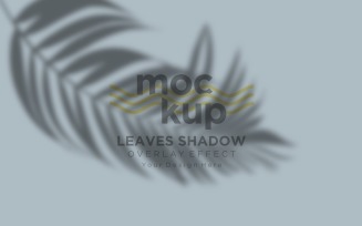 Leaves Shadow Overlay Effect Mockup 334
