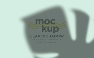 Leaves Shadow Overlay Effect Mockup 335