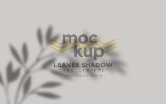 Leaves Shadow Overlay Effect Mockup 337