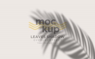 Leaves Shadow Overlay Effect Mockup 340