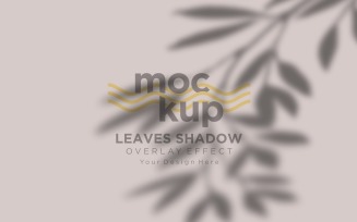 Leaves Shadow Overlay Effect Mockup 341