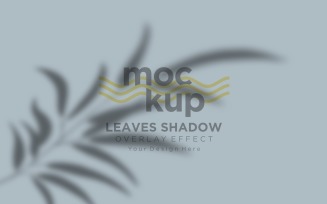 Leaves Shadow Overlay Effect Mockup 344