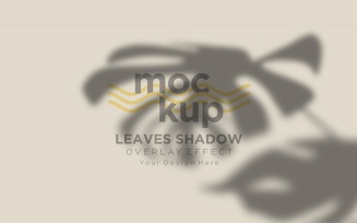 Leaves Shadow Overlay Effect Mockup 346