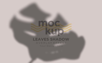 Leaves Shadow Overlay Effect Mockup 351