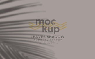Leaves Shadow Overlay Effect Mockup 352