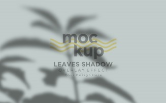 Leaves Shadow Overlay Effect Mockup 353