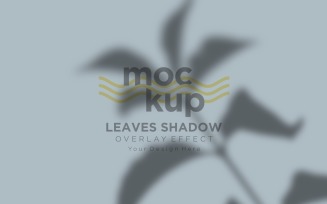 Leaves Shadow Overlay Effect Mockup 354