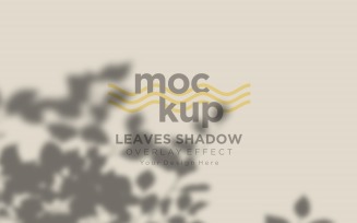 Leaves Shadow Overlay Effect Mockup 356