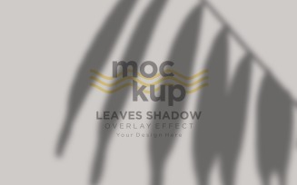 Leaves Shadow Overlay Effect Mockup 357