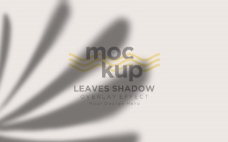 Leaves Shadow Overlay Effect Mockup 360