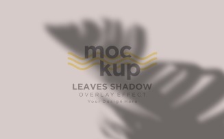 Leaves Shadow Overlay Effect Mockup 361