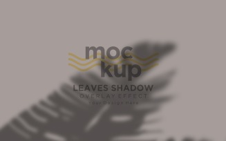 Leaves Shadow Overlay Effect Mockup 362
