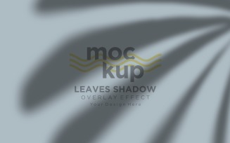 Leaves Shadow Overlay Effect Mockup 364