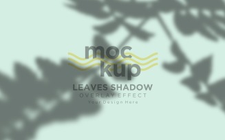 Leaves Shadow Overlay Effect Mockup 365