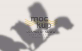 Leaves Shadow Overlay Effect Mockup 370