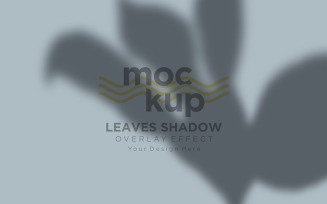 Leaves Shadow Overlay Effect Mockup 374