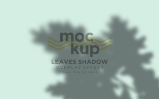 Leaves Shadow Overlay Effect Mockup 375