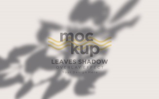 Leaves Shadow Overlay Effect Mockup 380