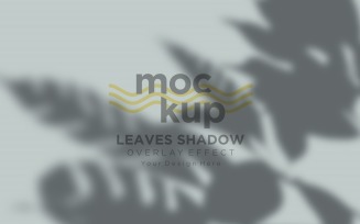 Leaves Shadow Overlay Effect Mockup 383