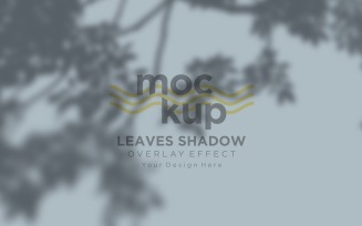 Leaves Shadow Overlay Effect Mockup 384