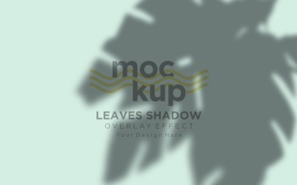 Leaves Shadow Overlay Effect Mockup 385