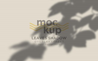 Leaves Shadow Overlay Effect Mockup 386