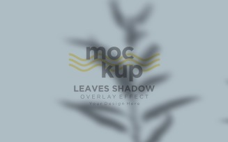 Leaves Shadow Overlay Effect Mockup 394