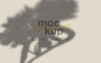 Leaves Shadow Overlay Effect Mockup 396