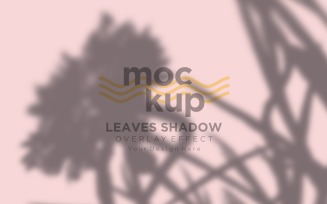 Leaves Shadow Overlay Effect Mockup 398