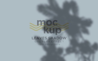 Leaves Shadow Overlay Effect Mockup 404