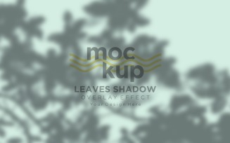 Leaves Shadow Overlay Effect Mockup 405