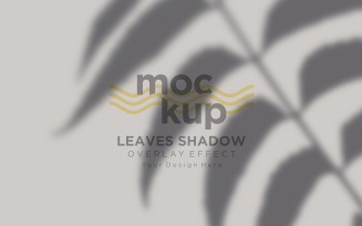 Leaves Shadow Overlay Effect Mockup 407