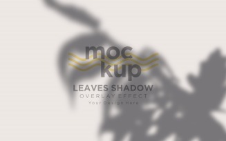 Leaves Shadow Overlay Effect Mockup 410