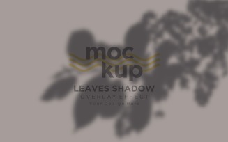Leaves Shadow Overlay Effect Mockup 412