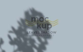 Leaves Shadow Overlay Effect Mockup 414