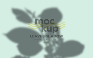 Leaves Shadow Overlay Effect Mockup 415
