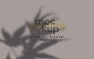 Leaves Shadow Overlay Effect Mockup 422