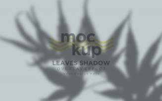 Leaves Shadow Overlay Effect Mockup 423