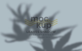 Leaves Shadow Overlay Effect Mockup 424
