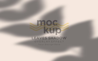Leaves Shadow Overlay Effect Mockup 429