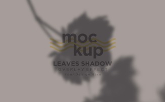 Leaves Shadow Overlay Effect Mockup 432