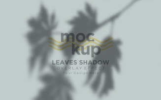Leaves Shadow Overlay Effect Mockup 433