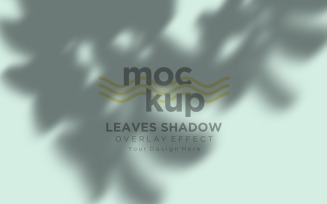 Leaves Shadow Overlay Effect Mockup 435